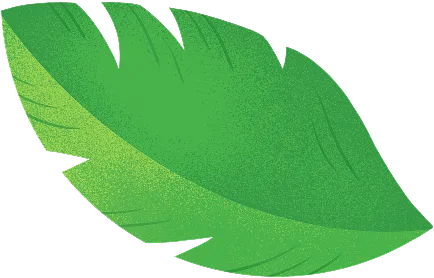 leaf l