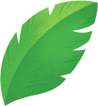 leaf r