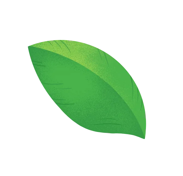 dnmls_leaf-2_full-3